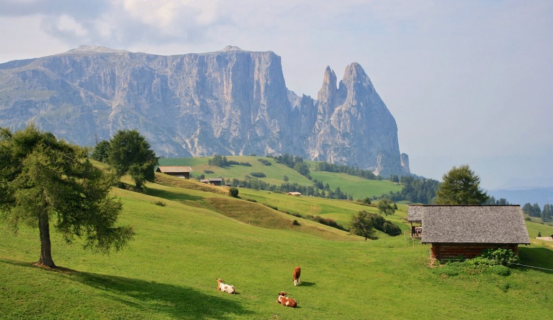 Estate in montagna Scopri Bolzano tra escursioni e aperitivi - Alpe di Siusi Seiser Alm