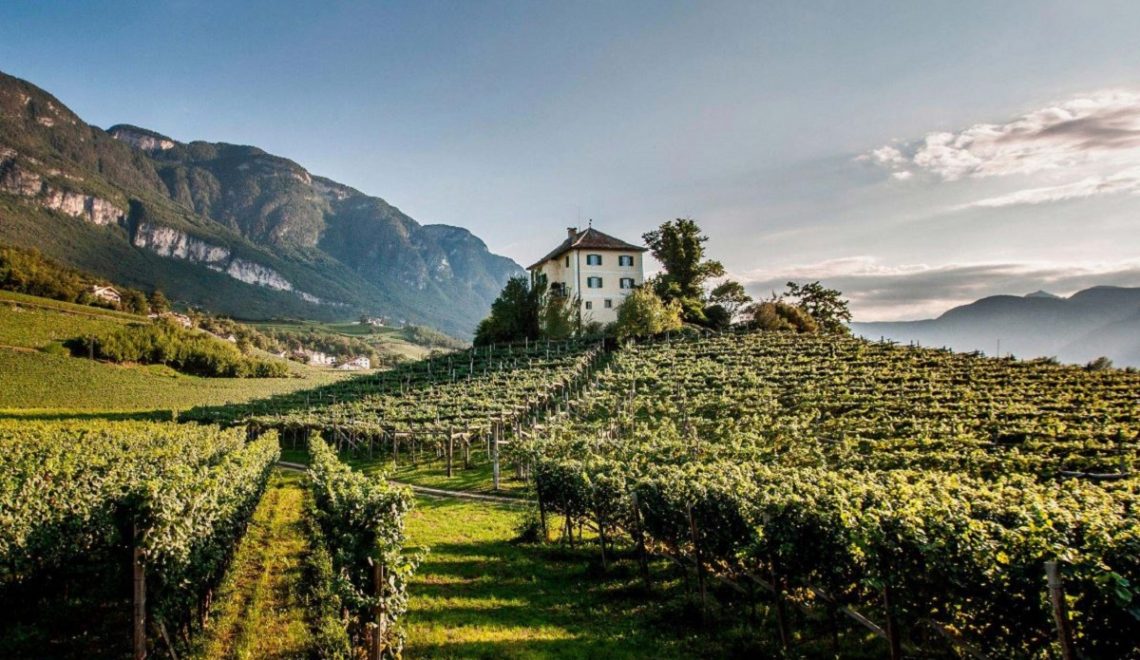 Italy’s Wine Regions: A Journey Through Vineyards and Tastings