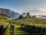 Italy's Wine Regions